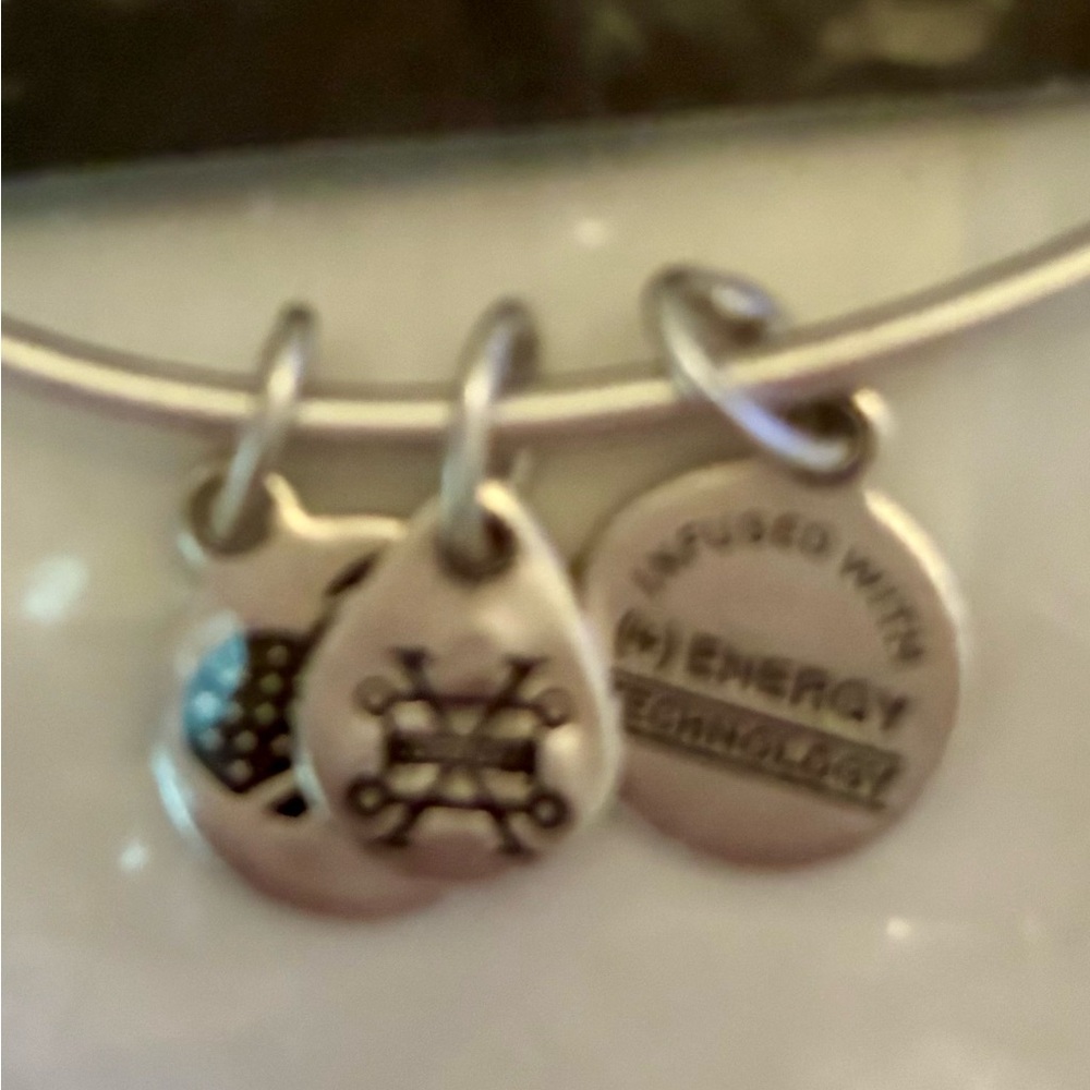 Alex and Ani Silver Tampa Bay Rays Baseball Charm Bracelet - Picture 3 of 9